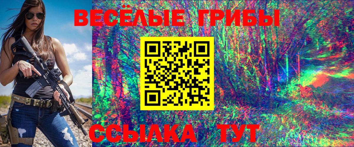 Ачинск  Псилоцибиновые грибы MAGIC MUSHROOMS  Вход с VPN  Галлюциногенные грибы Psilocybine cubensis 
