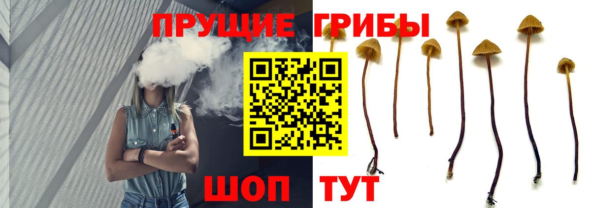 Псилоцибиновые грибы ЛСД Ачинск